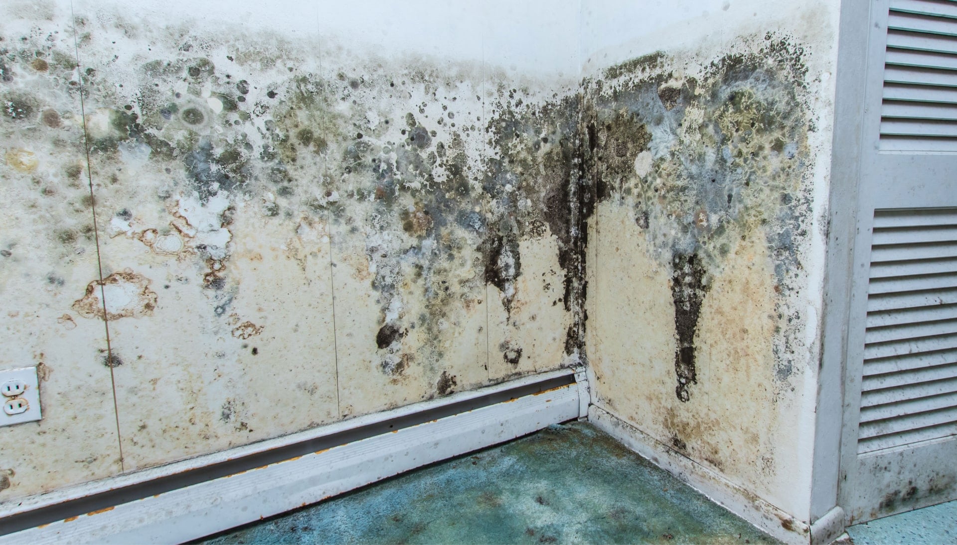 A mold remediation team using specialized techniques to remove mold damage and control odors in a Milwaukee property, with a focus on safety and efficiency